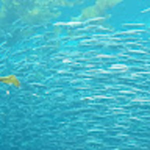 Meet your Posher, Debra